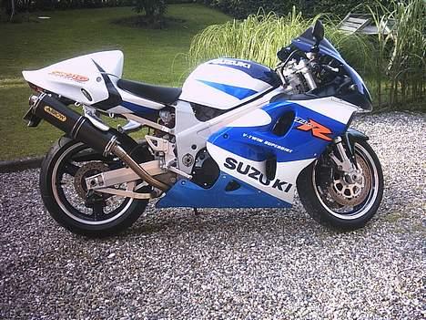 Suzuki tl1000r billede 1