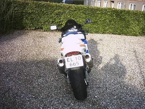 Suzuki tl1000r billede 3