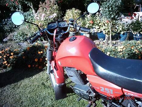 MZ 251 (SOLGT) billede 2