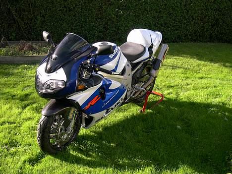 Suzuki TL 1000 R  billede 8