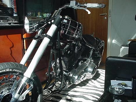 Harley Davidson custom billede 6