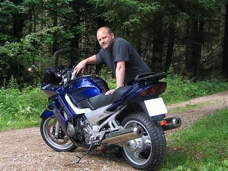 Yamaha FJR 1300A - På skovtur billede 4