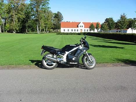 Suzuki GS 500E billede 6