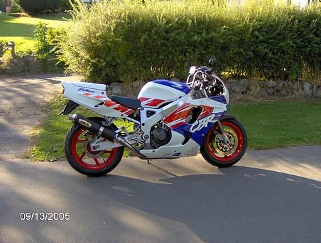 Honda Cbr 900 rr Fireblade billede 8