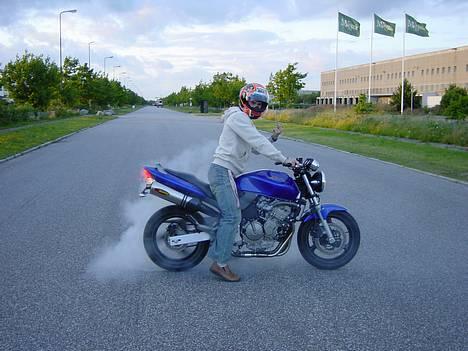 Honda HORNET 600 billede 10