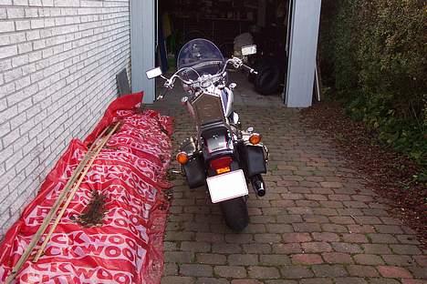 Yamaha XVS 650 Dragstar billede 6