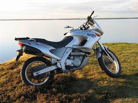 Aprilia Pegaso 650 "Dakar" billede 4