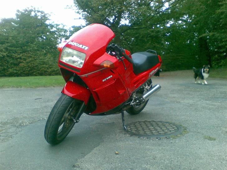 Ducati 750 PASO billede 6