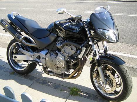 Honda CB 600F Hornet billede 1