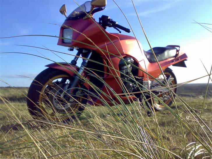 Kawasaki GPz 900r Ninja "Solgt" - Som den ser ud i dag se mere her i mit foto album http://www.motorcykelgalleri.dk/html/alb_vis.asp?AlbumID=2523 billede 1