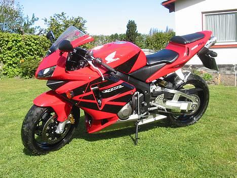 Honda CBR 600 RR KBH solgt - På café med tøsen... billede 1