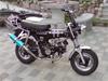 Honda                       DAX
