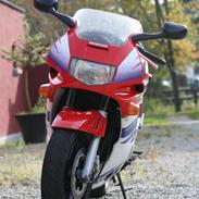 Honda CBR 600 F2 (SOLGT)!