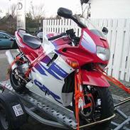 Honda CBR 600 F2 (SOLGT)!