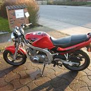 Suzuki GS 500E   >SOLG<    