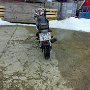 Suzuki gsx-r 250