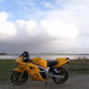 Suzuki *Brumbassen* SV 650 s DØD