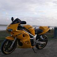 Suzuki *Brumbassen* SV 650 s DØD