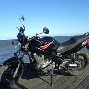 Suzuki GS 500 F