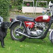 Triumph Bonneville