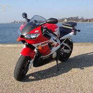 Yamaha yzf-r6 (SOLGT)