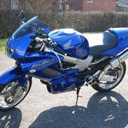 Honda VTR1000 Firestorm