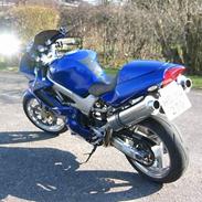 Honda VTR1000 Firestorm