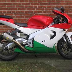Aprilia Rsv Mille