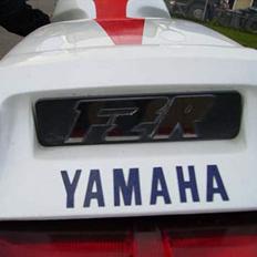 Yamaha FZR 1000 Exup