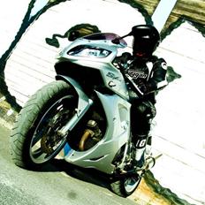 Suzuki SV1000s ** DØD **