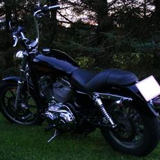 Harley Davidson Sportster XL883