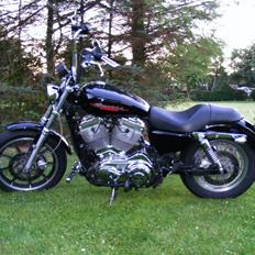 Harley Davidson Sportster XL883