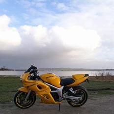 Suzuki *Brumbassen* SV 650 s DØD