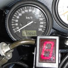 Suzuki TL1000s "SOLGT"