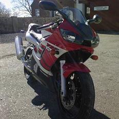 Yamaha yzf-r6 (SOLGT)