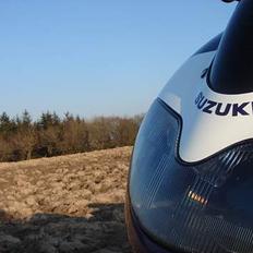 Suzuki TL 1000 R **SOLGT**