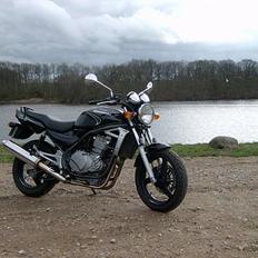 Kawasaki ER-5 ( SOLGT )