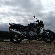 Kawasaki ER-5 ( SOLGT )