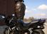 Yamaha Fazer 600 SOLGT