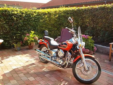 Yamaha xvs 650 dragstar. billede 3