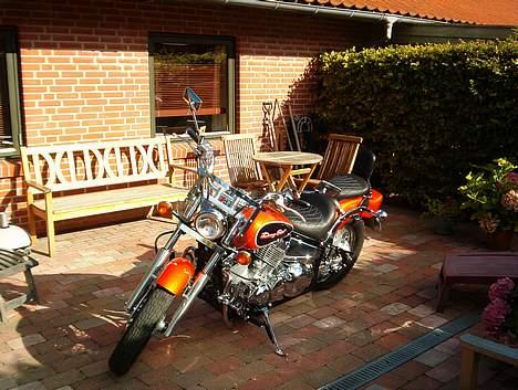 Yamaha xvs 650 dragstar. billede 4