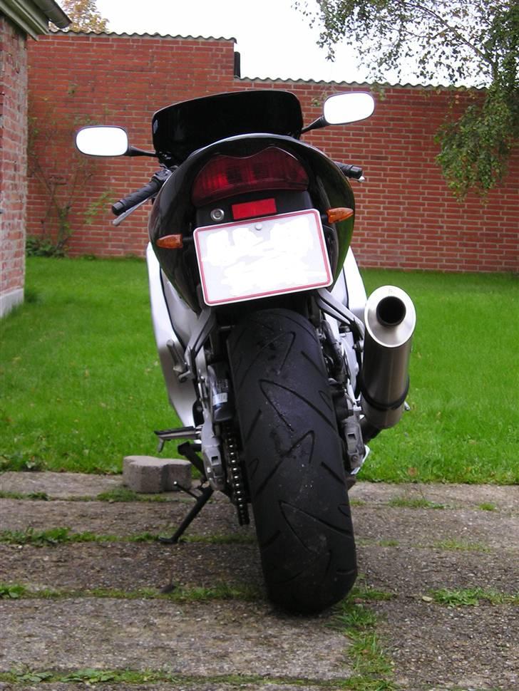 Honda CBR 600 F4 - Der er ikke noget som en go´ røv...:-) billede 6