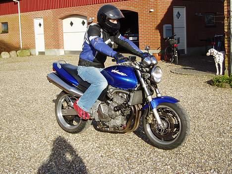 Honda hornet 600 SOLGT billede 8