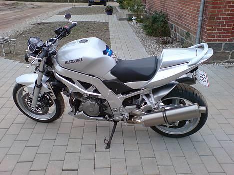 Suzuki SV 1000 N billede 4