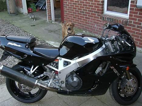 Honda CBR 900 RR TOTALSKADET - fra siden igen billede 6