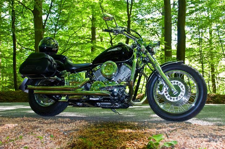 Yamaha dragstar 1100 - en tur i skoven  med mit nye kamera billede 20