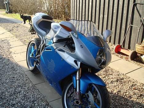 MV Agusta F4 S Tamburini billede 11