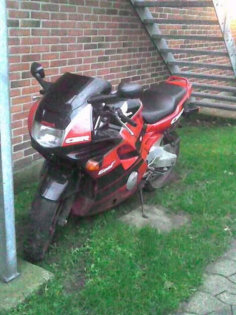Honda CBR 600 f2 *** Solgt *** - Hjemme på kendt græs 2006 billede 5