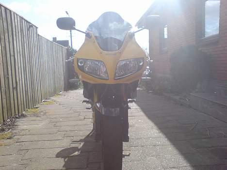 Suzuki sv650s palle kbh billede 7