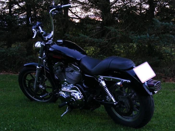 Harley Davidson Sportster XL883 billede 2